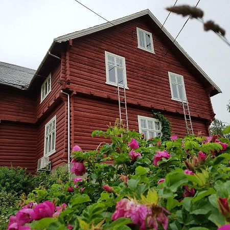 Haugtun Gardspensjonat Og Leiligheter Nordre Land Экстерьер фото
