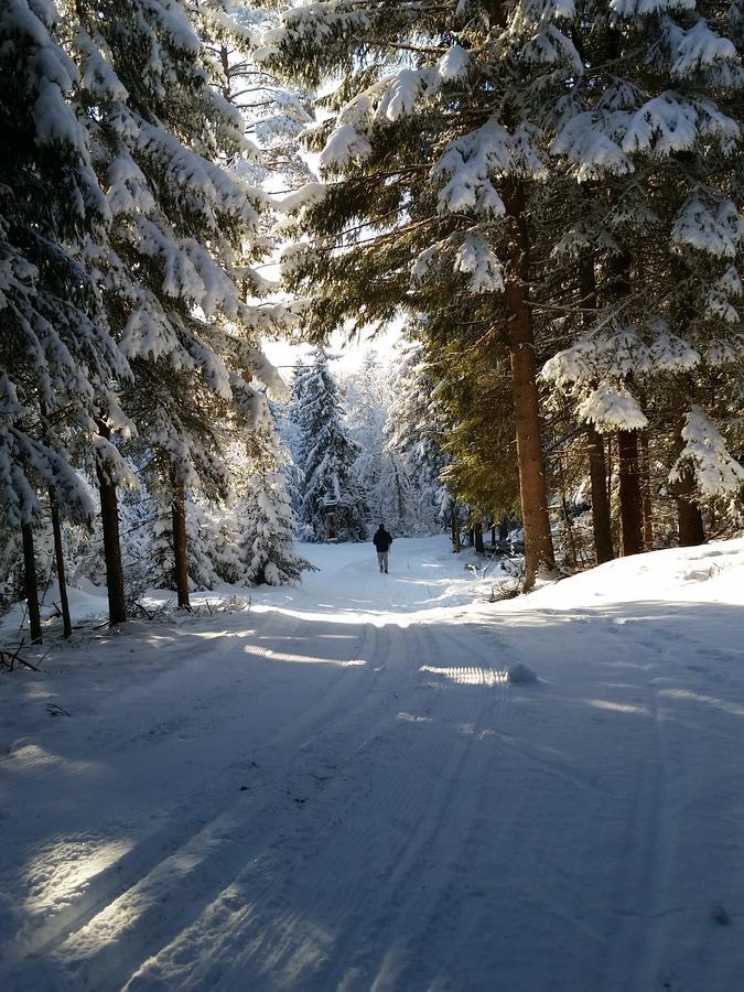 Haugtun Gardspensjonat Og Leiligheter Nordre Land Экстерьер фото